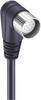 Lumberg Automation 60713 Sensor-/Aktor-Steckverbinder, konfektioniert M23 Kupplung, gewinkelt 20.00 m Polzahl Sensoren: 19 1 St.