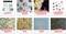 Acht Bilder in einer Collage: Smart Slides, Meersalz, Schmetterlingsflügel, Gesteinsproben, Trockene Garnelen, Hefe, Textil, Garneleneier.