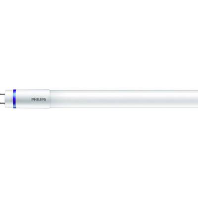 Leuchtstoffröhre von Philips, weißer Körper mit blauer Markierung und silbernem Sockel an einem Ende. Ideal für Beleuchtung.