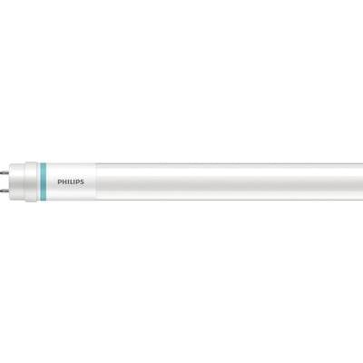 Eine weiße Philips Leuchtstoffröhre mit blauem Ring am Ende wird horizontal angezeigt.