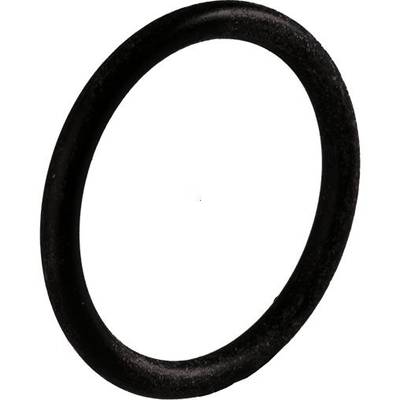 Schwarzer O-Ring, rund, elastisch, vor weißem Hintergrund. Geeignet für Abdichtungen in Maschinen und Rohrsystemen.