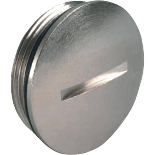 Rundes Metallteil mit Schlitz an der Oberseite, möglicherweise eine Münze oder ein Deckel. Oberfläche glänzend und glatt.