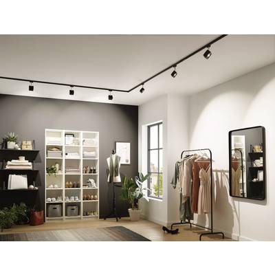 Ein stilvoller Ankleideraum mit Kleiderständer, Spiegel, Regalen voller Kleidung und Accessoires. Pflanzen sorgen für ein wohnliches Ambiente.