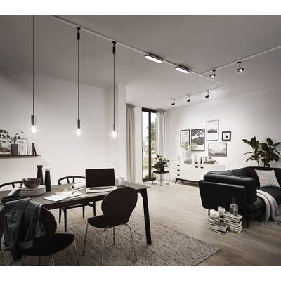 Modern eingerichtetes Wohnzimmer mit Esstisch, schwarzem Sofa, Dekorpflanzen und Wandbildern. Große Fenster lassen viel Licht herein.