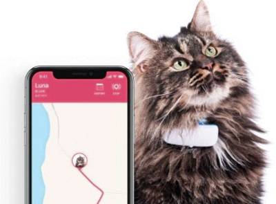 Traceur GPS léger et petit pour animaux domestiques.