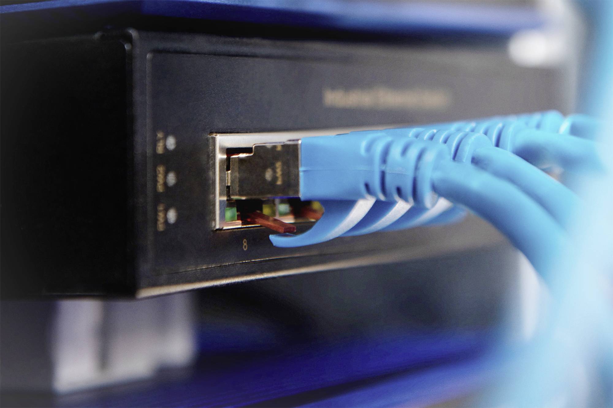 Mehrere blaue Netzwerkkabel sind an einen Internet-Router angeschlossen und stellen eine aktive Internetverbindung dar.