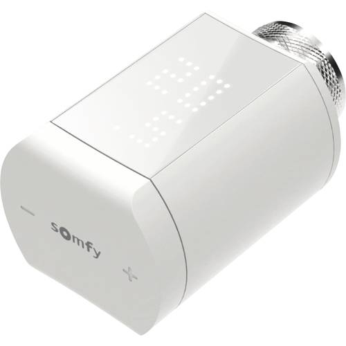 Somfy 1870508 Funk-Alarmanlagen-Erweiterung Funk-Thermostat