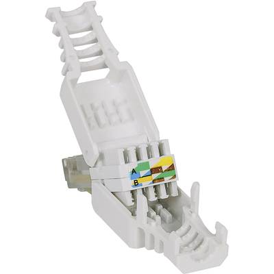 Ein CAT 6A Netzwerkstecker zum Verbinden von Patchkabeln mit Keystone-Modulen. Geeignet für Netzwerkinstallationen in strukturierten Verkabelungssystemen.