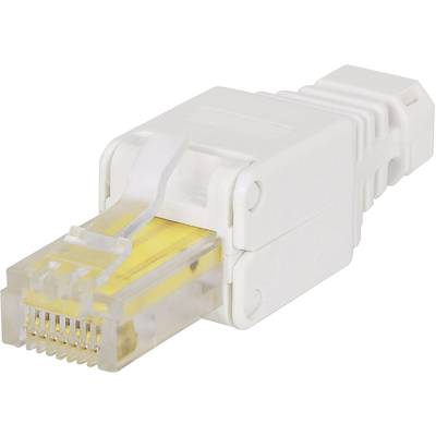Ein weißer LAN-Stecker mit durchsichtigen Kontakten, typisch für Netzwerkkabelverbindungen, dargestellt vor einem neutralen Hintergrund.