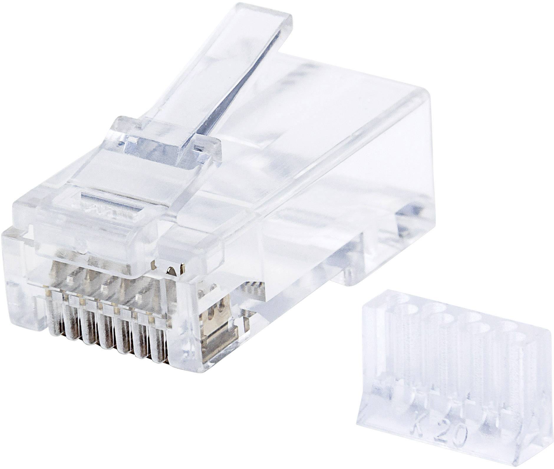 Ein transparenter RJ45-Netzwerkstecker neben einer passenden, leeren Kunststoffhülle.