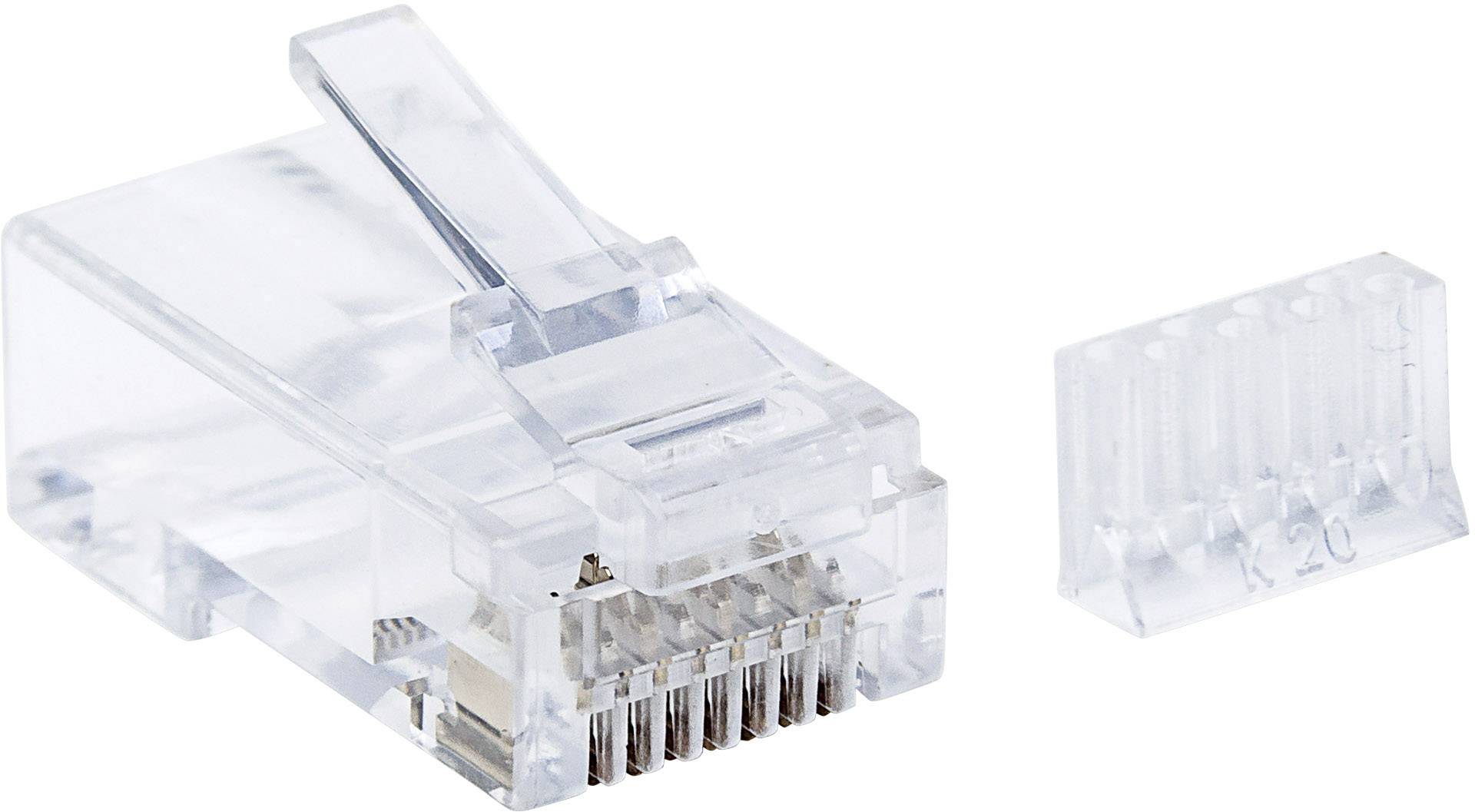 'RJ45-Stecker für Netzwerkkabel' links und 'Plastikeinsatz' rechts; der Stecker hat Metallkontakte zur Datenübertragung.
