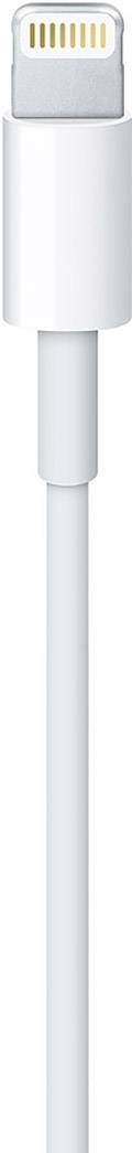 Apple iPad, iPhone, iPod, MacBook [1x Apple Lightning-Stecker - 1x USB 2.0 Stecker A] 1.00 m Weiß-1