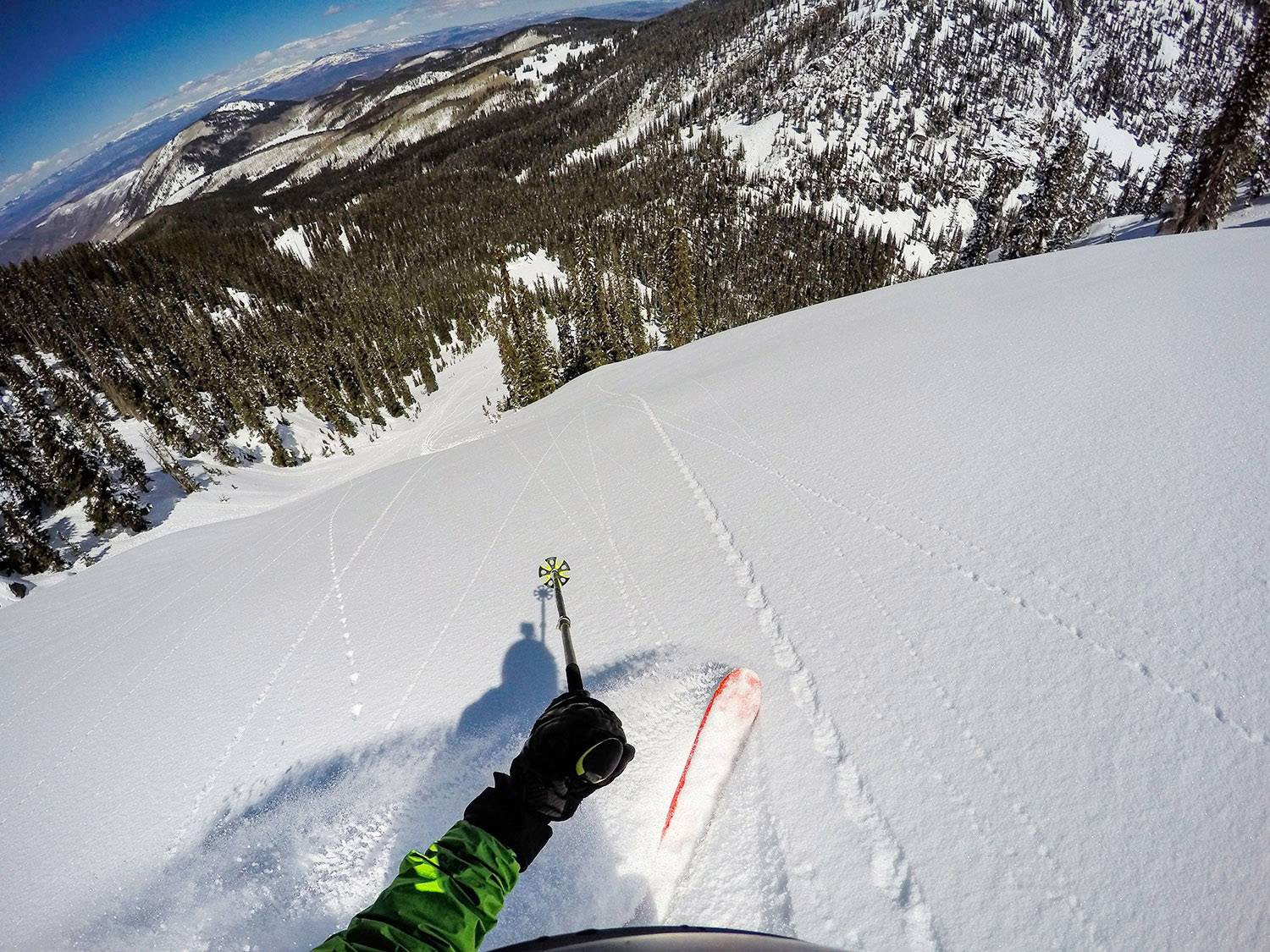Ein Skifahrer fährt einen schneebedeckten Hang hinab, umgeben von Nadelbäumen und Bergen im Hintergrund. Die Sonne scheint klar.
