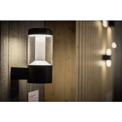 Moderne Wandlampe mit rundem, schwarzem Gehäuse, das diffuses Licht nach unten abstrahlt, an einer Holzwand montiert.