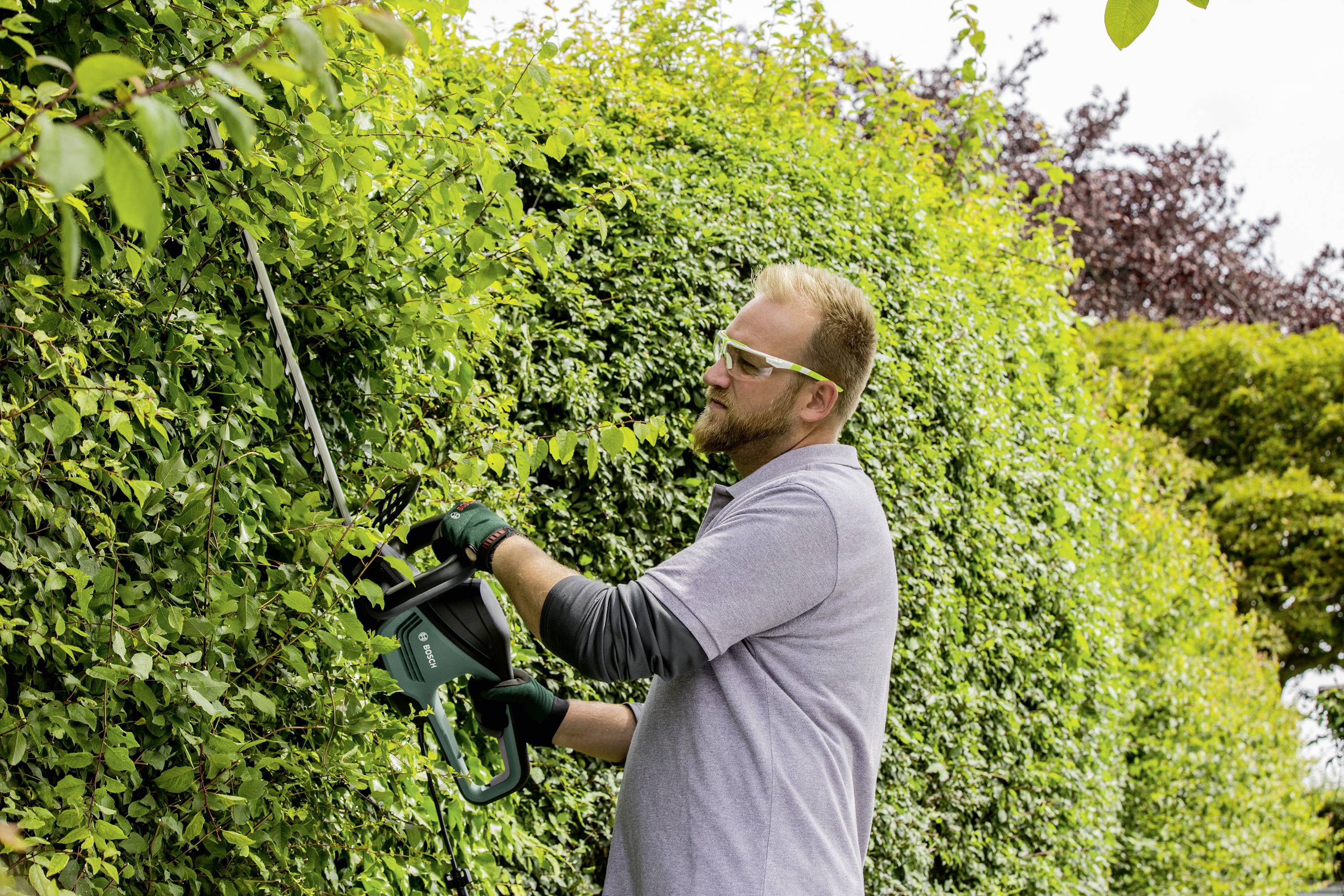 Bosch Home and Garden AdvancedHedgecut 70 Elektro Heckenschere mit Schutzbügel 500 W 700 mm-3