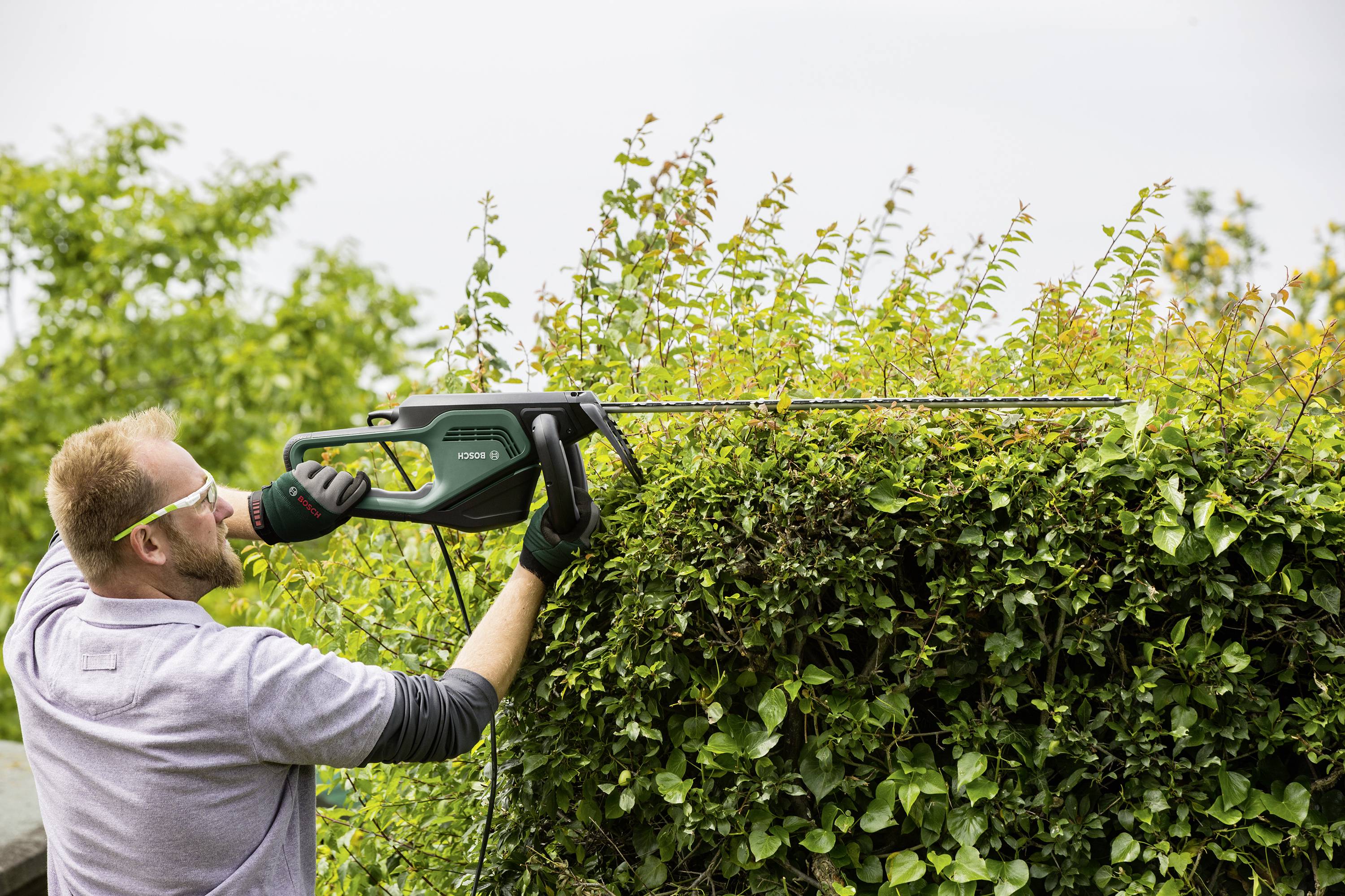 Bosch Home and Garden AdvancedHedgecut 70 Elektro Heckenschere mit Schutzbügel 500 W 700 mm-4