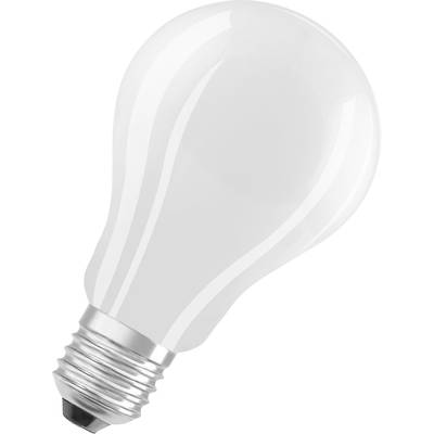 Glühbirne mit silberner Fassung auf weißem Hintergrund. Symbolisiert Ideen oder Kreativität.
