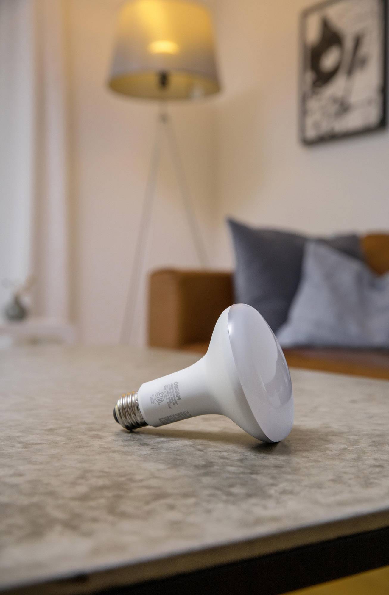 Eine Glühbirne liegt auf einem Tisch in einem wohnlichen Raum. Im Hintergrund sind ein Sofa, Kissen und eine Stehlampe sichtbar.