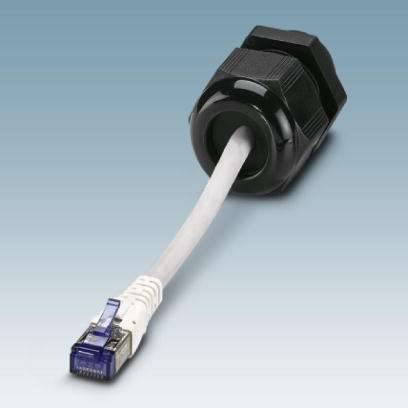 Ein Ethernet-Kabel mit einem schwarzen Verschluss liegt auf einem blauen Hintergrund.