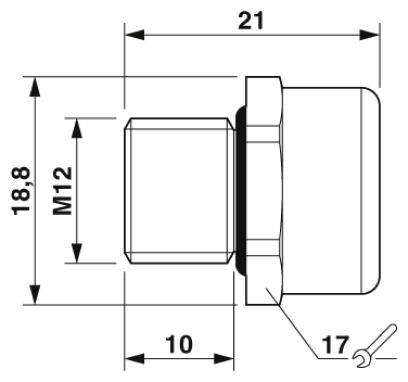 Technische Zeichnung einer Schraube mit M12-Gewinde. Maße: Länge 21 mm, Höhe 18,8 mm, Gewindelänge 10 mm, Kopfdurchmesser 17 mm.