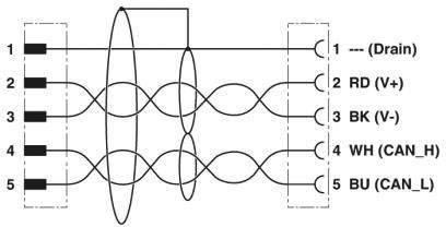 'Schema einer Kabelverbindung mit fünf Pins: 1-Drain, 2-RD (V+), 3-BK (V-), 4-WH (CAN_H), 5-BU (CAN_L).'