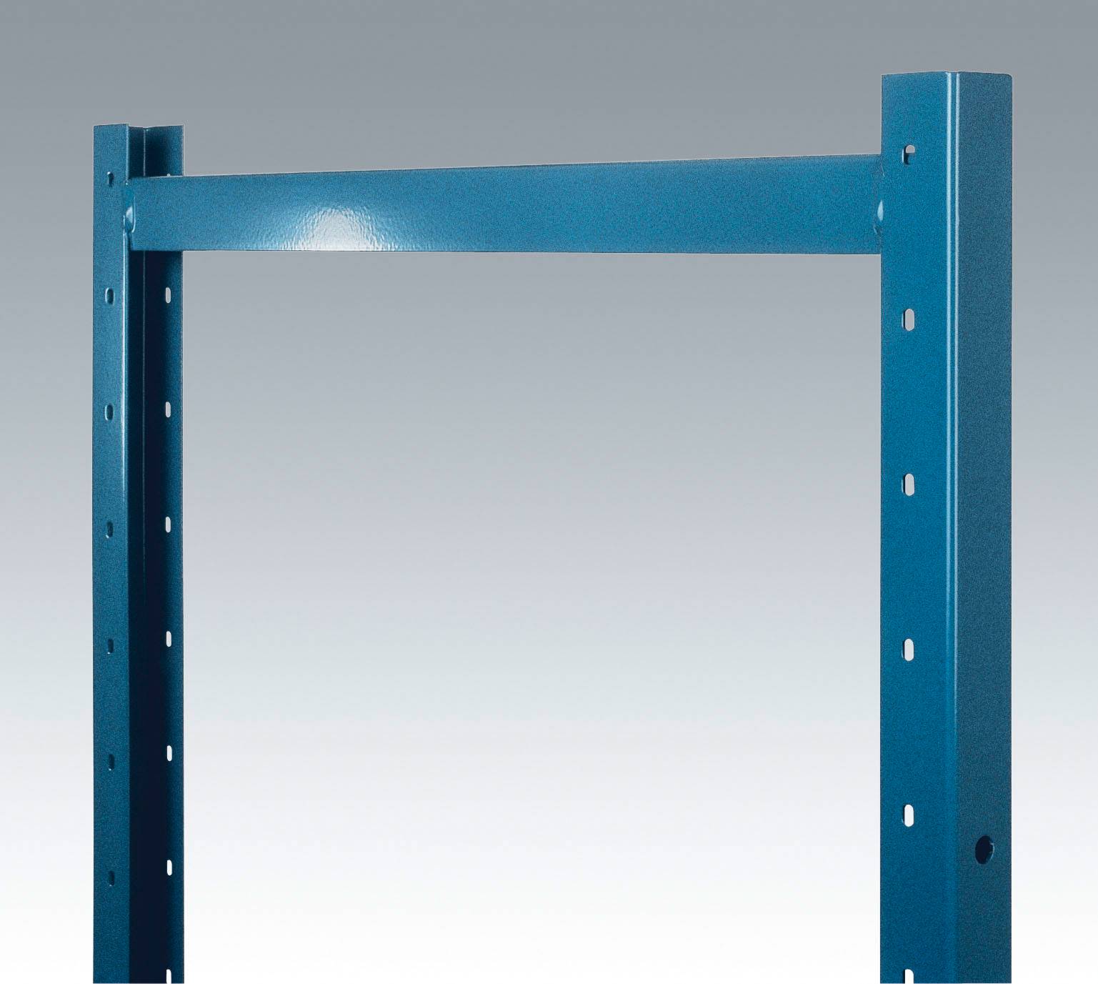 Manuflex RA3101.9006 Regalrahmen (B x H x T) 30 x 1900 x 300 mm