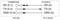 'Diagramm zeigt Verdrahtung zwischen COMBICON und D-SUB-9: RX (5.1) zu RX (2), TX (5.2) zu TX (3), GND (5.3) zu GND (5).'