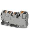 Phoenix Contact 3002369 Potenzialsammelklemme Push-In-Klemme Grau 25 St.