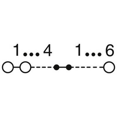 Darstellung eines Musters mit Zahlen und Kreisen: '1...4 1...6', darunter Kreise verbunden durch gestrichelte Linien.