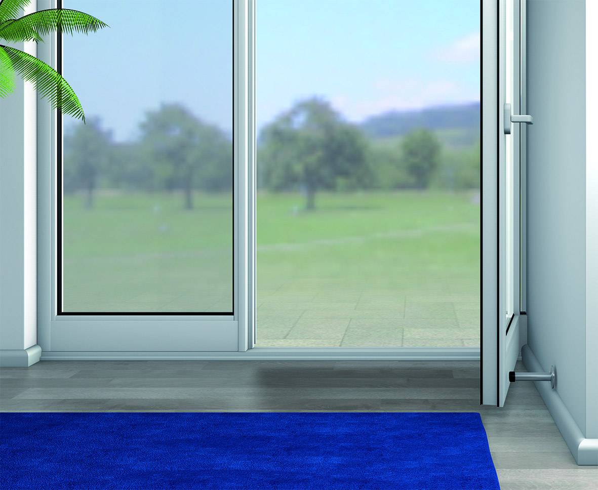 Blick durch eine geöffnete Glastür auf einen grünen Park mit Bäumen und blauem Himmel. Der Boden ist mit einem blauen Teppich bedeckt.