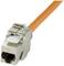 Ein CAT6A-Netzwerkkabel mit orangem Kabelansatz ist mit einem silbernen Metallstecker versehen, der für Hochgeschwindigkeitsverbindungen verwendet wird.