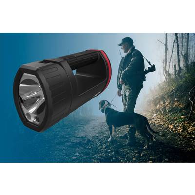 'Eine Person mit Hund im Wald bei Dämmerung, trägt Jagdausrüstung. Im Vordergrund scheint eine große Taschenlampe.'