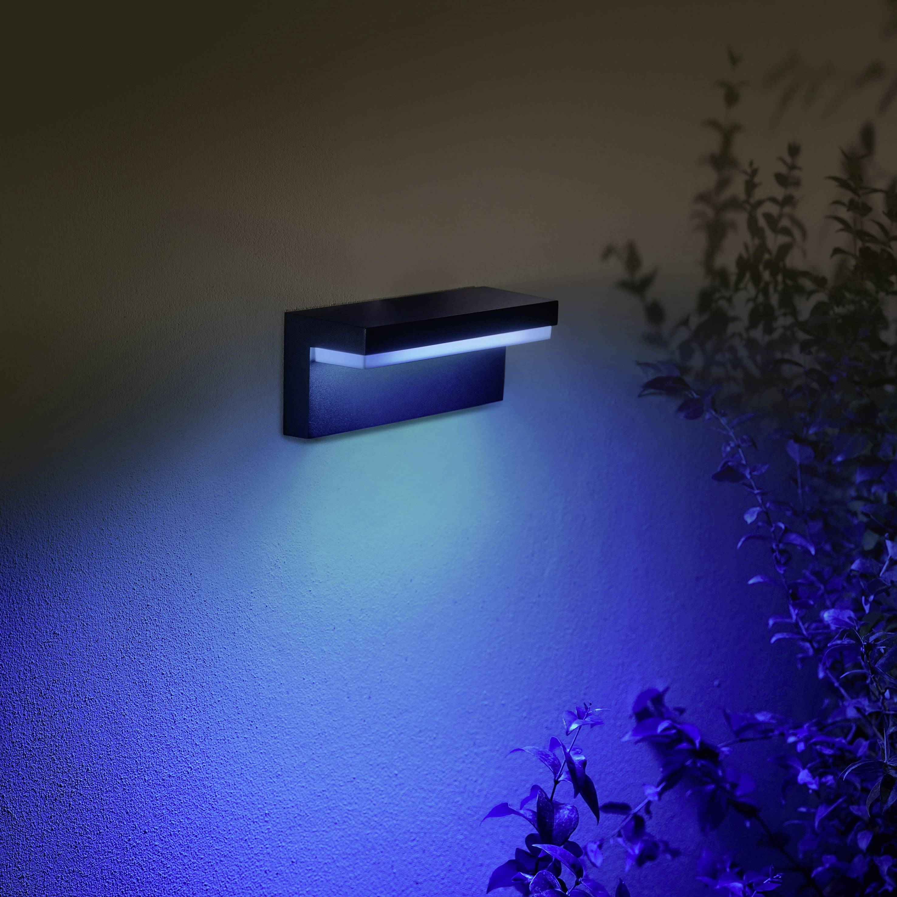 Eine moderne Wandleuchte strahlt blaues Licht auf eine nebenstehende Pflanze, die teilweise beleuchtet wird.