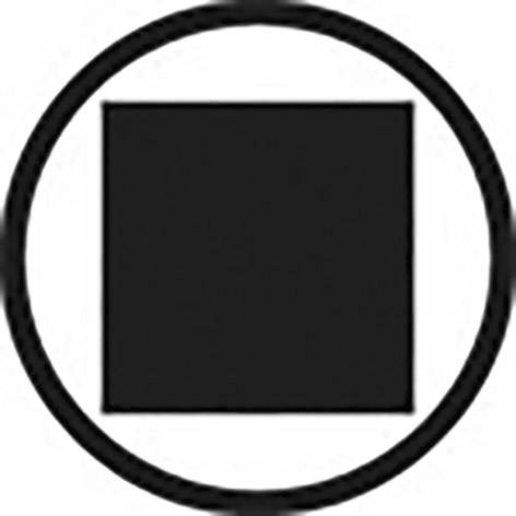 Ein schwarzes Quadrat in einem schwarzen Kreis auf weißem Hintergrund.