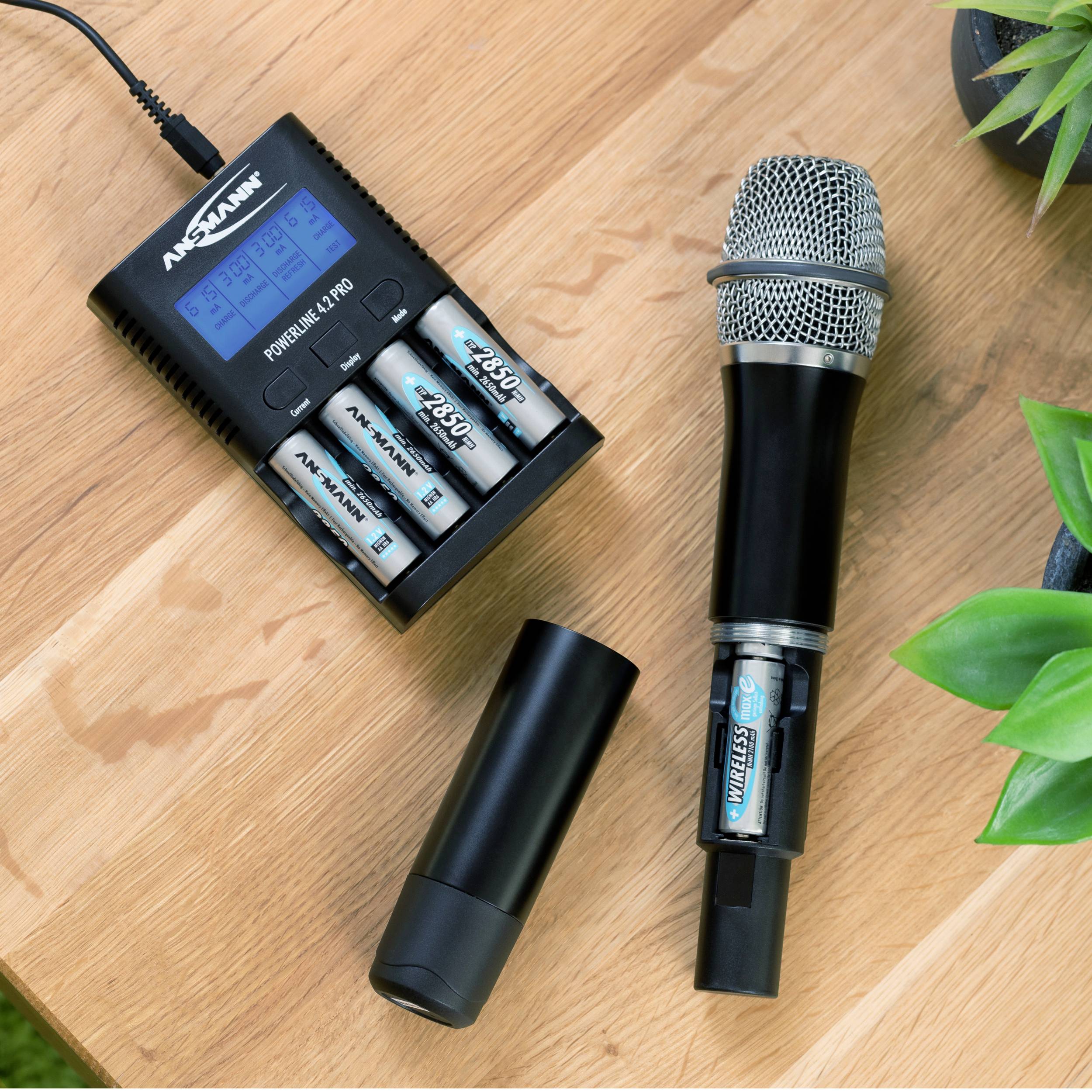Ladegerät mit vier AA-Batterien und kabelloses Mikrofon auf Holztisch neben Pflanze. Batterie und Mikrofon derselben Marke.