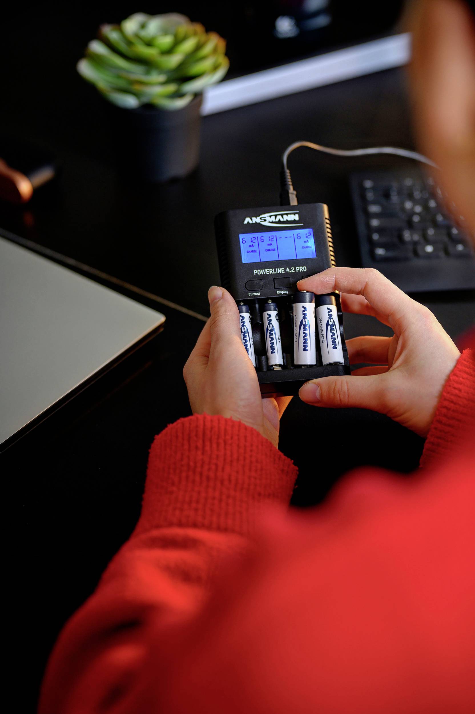 Eine Person hält ein Batterieladegerät in der Hand, das vier AA-Batterien lädt. Auf dem Tisch steht ein Laptop und eine Pflanze.