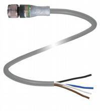Graues elektrisches Kabel mit Stecker am einen Ende und freiliegenden Drähten am anderen. Drähte in Braun, Blau, Schwarz und Weiß.
