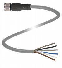 Ein sechspoliges Kabel mit offener Anschlussseite und Stecker. Geeignet für elektrische Verbindungen und Installation.