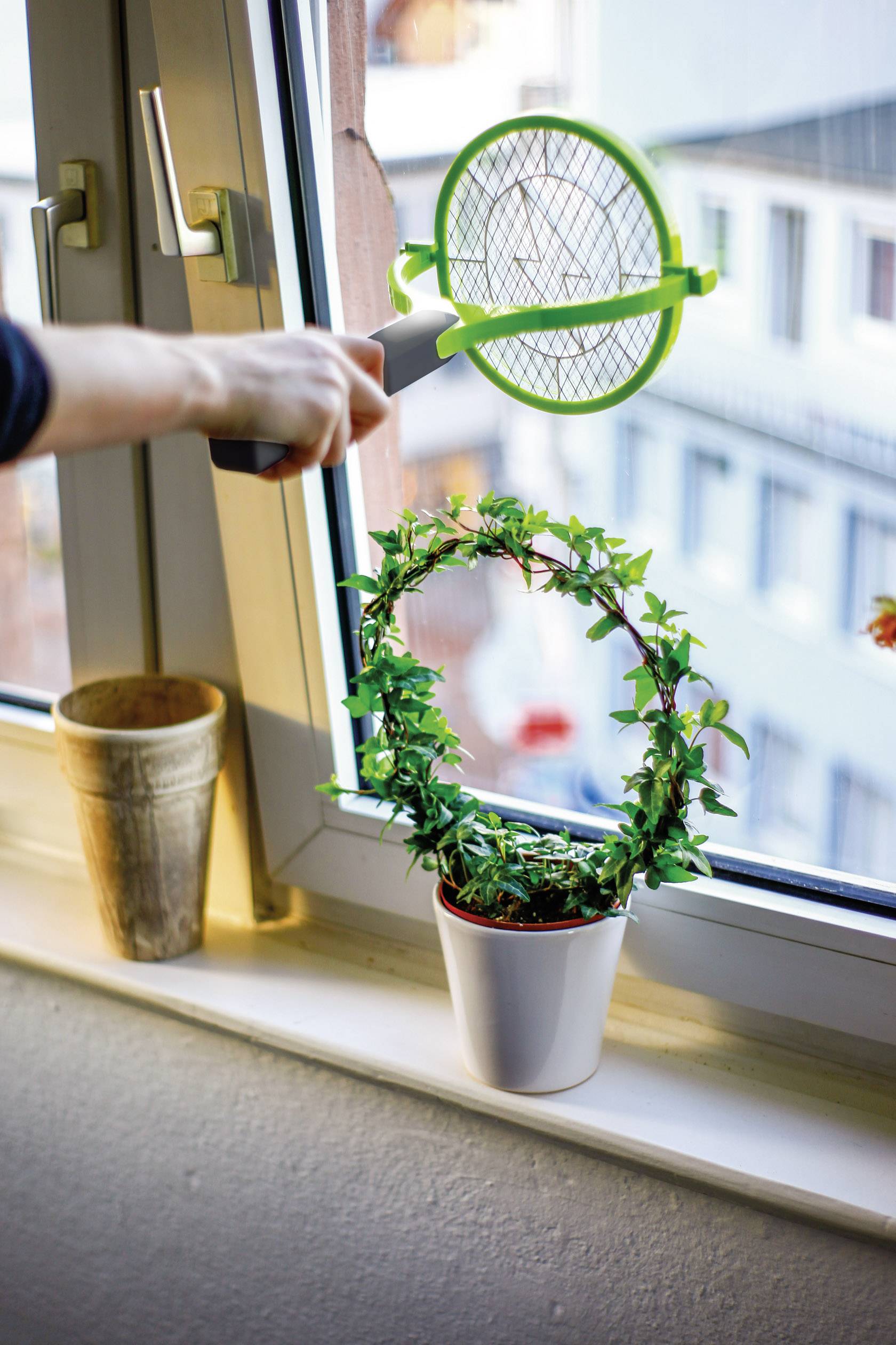 Person hält einen elektrischen Fliegenfänger über einer Pflanze auf einem Fensterbrett. Draußen sind Gebäude sichtbar.