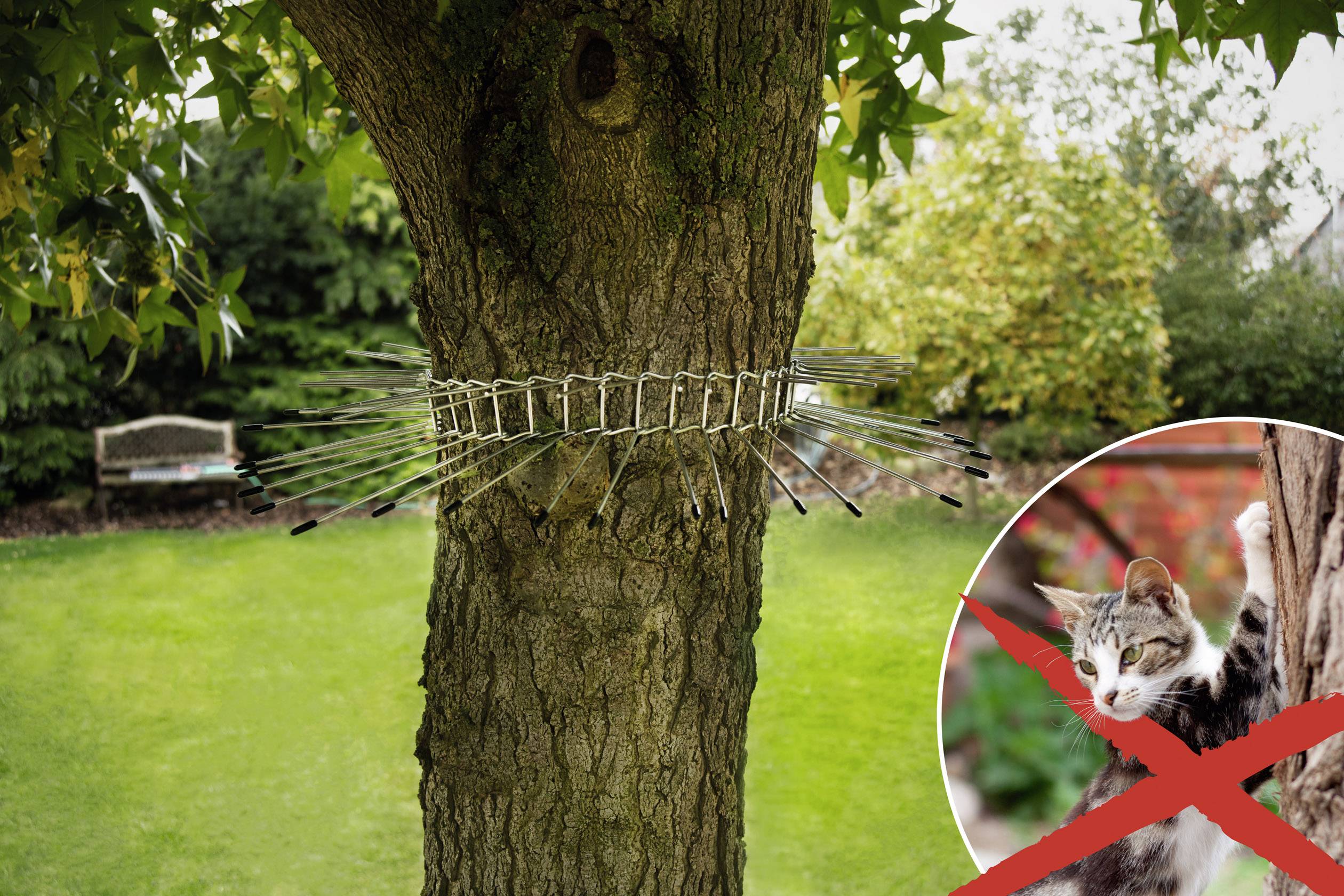Ein Baum mit einem Kletterschutz aus Draht zur Abwehr von Katzen, daneben ein Bild einer Katze mit einem roten X darüber.