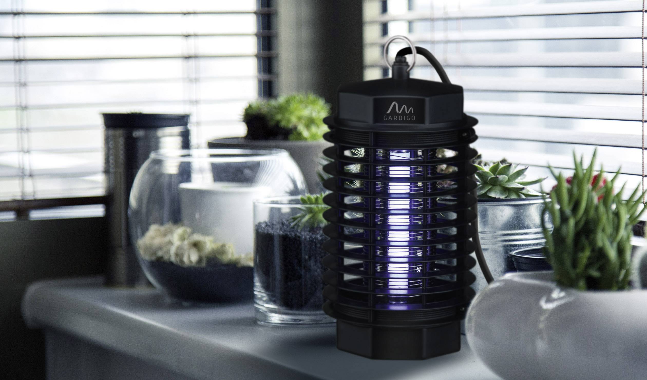 Eine Insektenfalle steht auf der Fensterbank eines modernen Raumes, umgeben von dekorativen Pflanzen und Gefäßen.