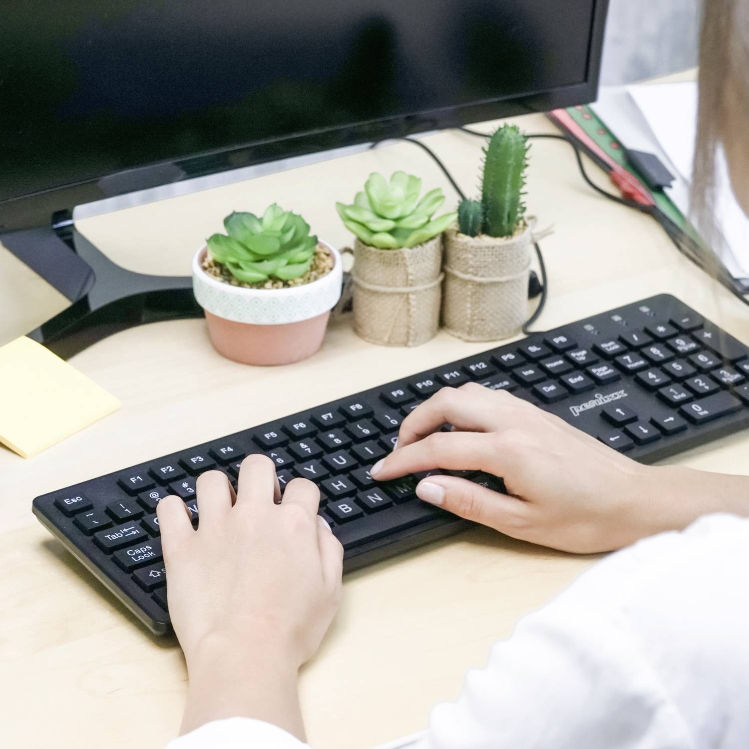 Eine Person tippt auf einer schwarzen Tastatur. Im Hintergrund stehen drei kleine Topfpflanzen neben einem Monitor auf einem Schreibtisch.
