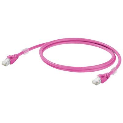 Ein pinkfarbenes Netzwerkkabel mit zwei RJ45-Steckern, liegt auf einem weißen Hintergrund.