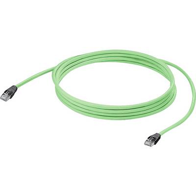 Grünes Ethernet-Kabel mit RJ45-Steckern an beiden Enden, eingerollt auf einem weißen Hintergrund.