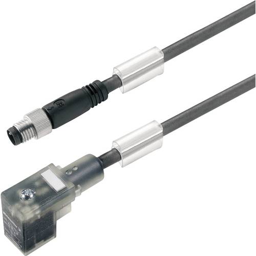 Weidmüller 1916700250 Sensor-/Aktor-Steckverbinder, konfektioniert M8 Stecker, gerade 2.50 m Polzahl Sensoren: 3 1 St.