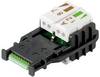 Weidmüller 1992880000 RJ45-Steckverbinder RJ45 Stecker 30 St. Piece
