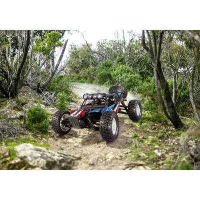 Ein ferngesteuertes Auto fährt auf einem steinigen Waldweg, umgeben von Bäumen und Büschen, unter einem klaren Himmel.