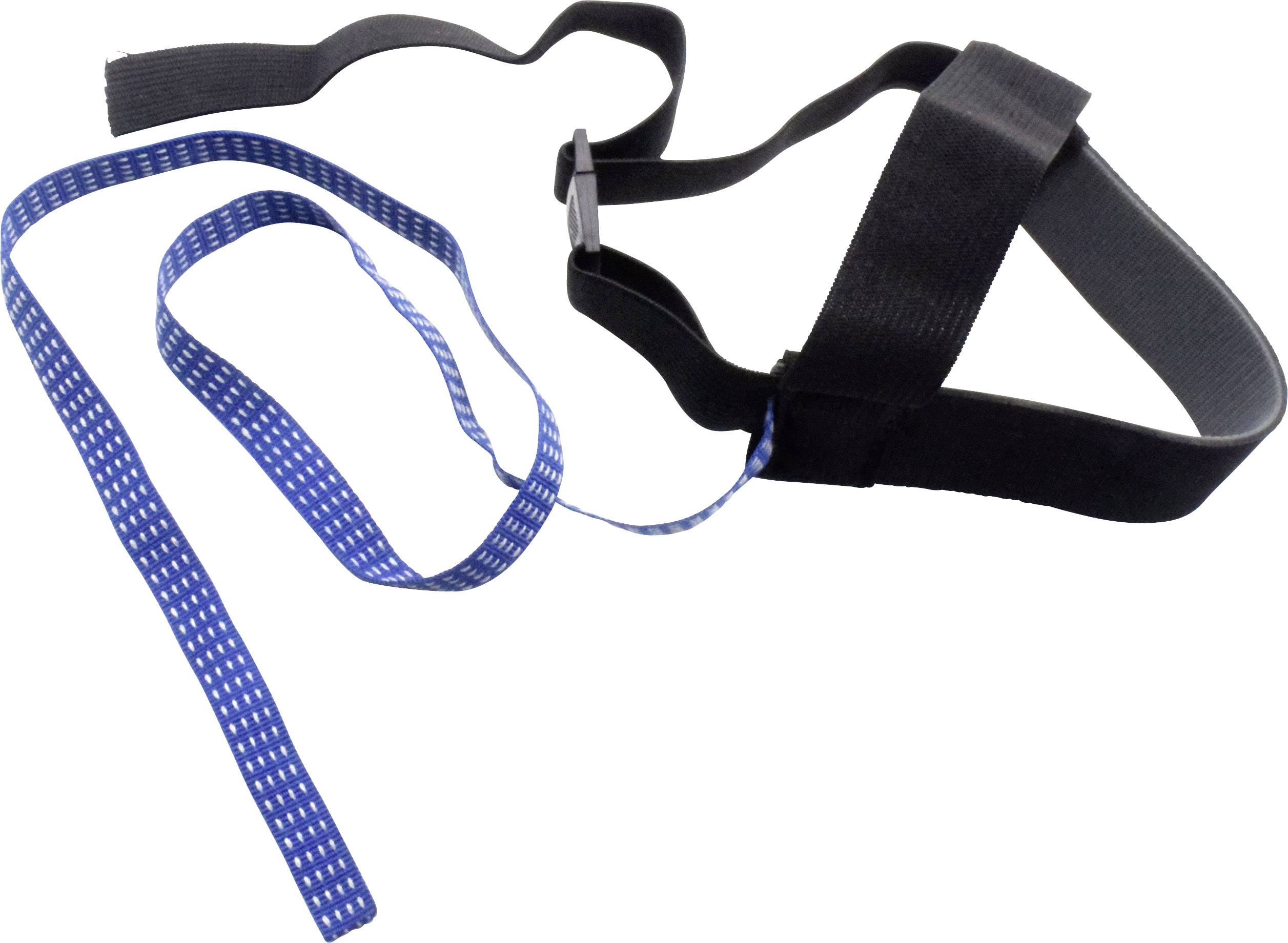 Ein schwarzes, elastisches Hundegeschirr mit einem blauen, gepunkteten Band liegt auf einem weißen Hintergrund.