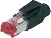 Digitus A-MO6 8/8 HRS CAT 6 RJ45 Modular-Stecker, geschirmt, inkl. Knickschutztülle A-MO6 8/8 HRS Stecker, gerade Polzahl Sensoren 8P8C Rot 1 St.