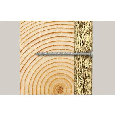 Eine Schraube ist horizontal in ein Stück Holz geschraubt, das sowohl die Baumringe als auch die raue Rinde zeigt.